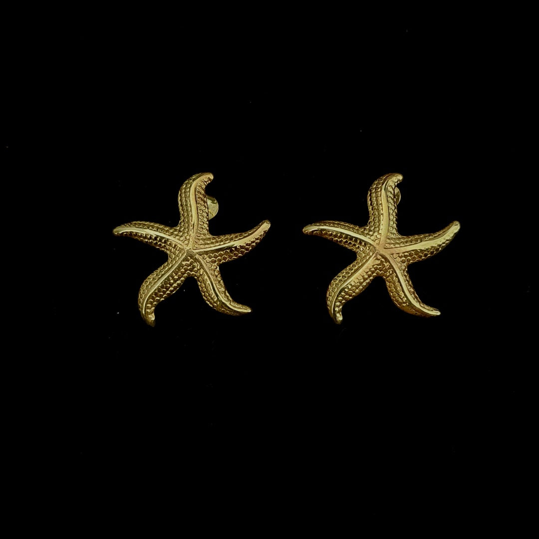 Earring Sea Star Hook/Stud Silver 3.5cm